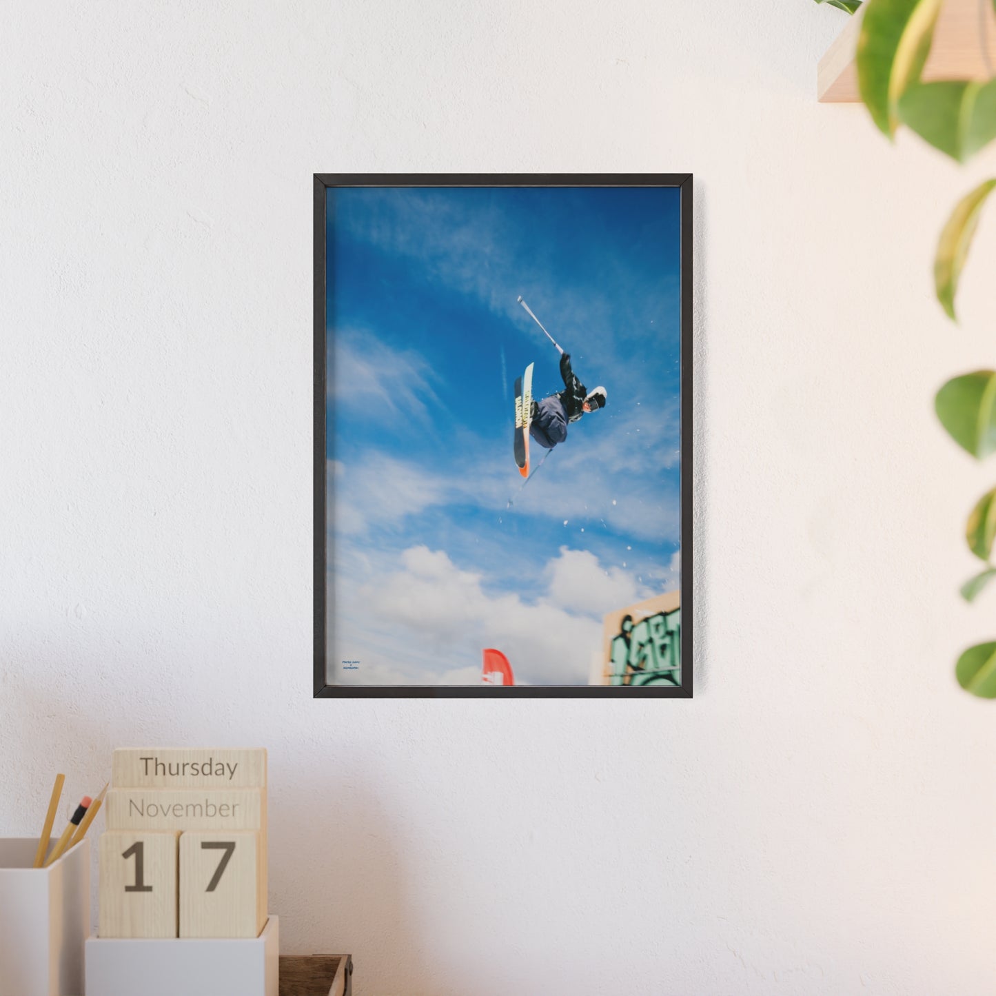 Park Shenanigans Mateo Lepic Poster - FRAMED