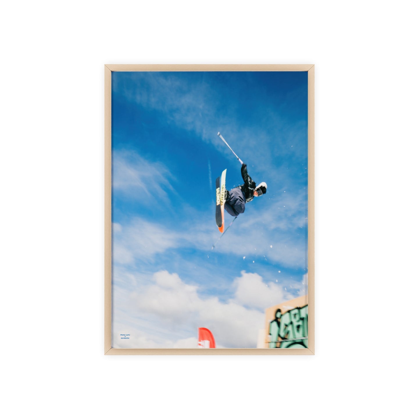 Park Shenanigans Mateo Lepic Poster - FRAMED
