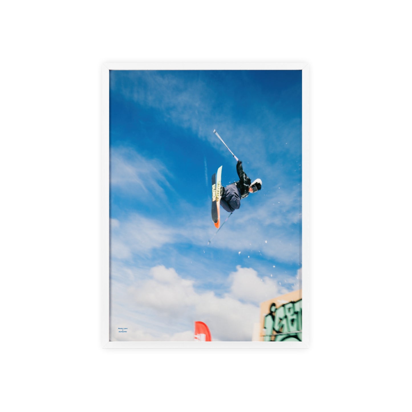 Park Shenanigans Mateo Lepic Poster - FRAMED