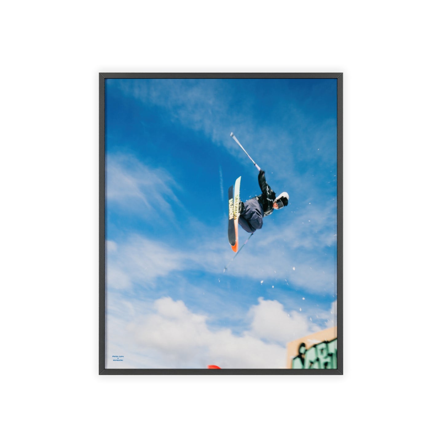 Park Shenanigans Mateo Lepic Poster - FRAMED