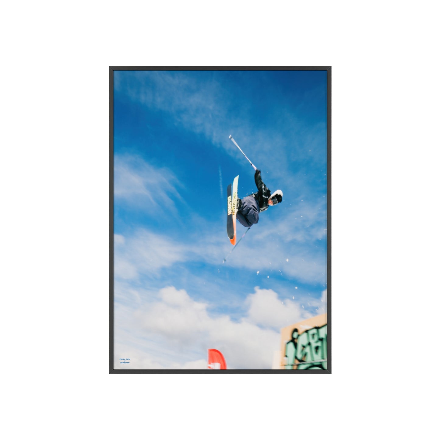 Park Shenanigans Mateo Lepic Poster - FRAMED