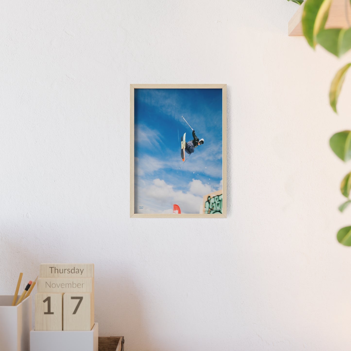 Park Shenanigans Mateo Lepic Poster - FRAMED