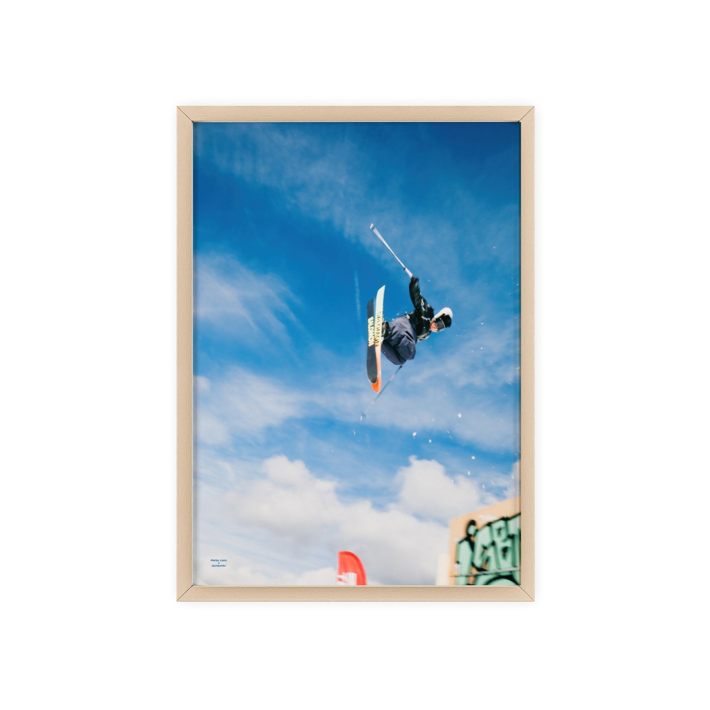 Park Shenanigans Mateo Lepic Poster - FRAMED