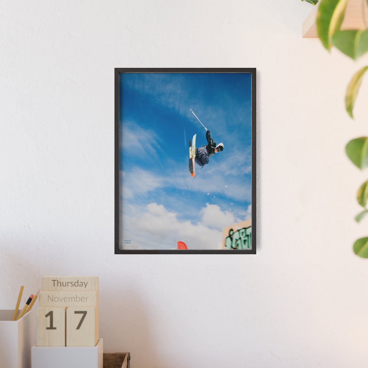 Park Shenanigans Mateo Lepic Poster - FRAMED