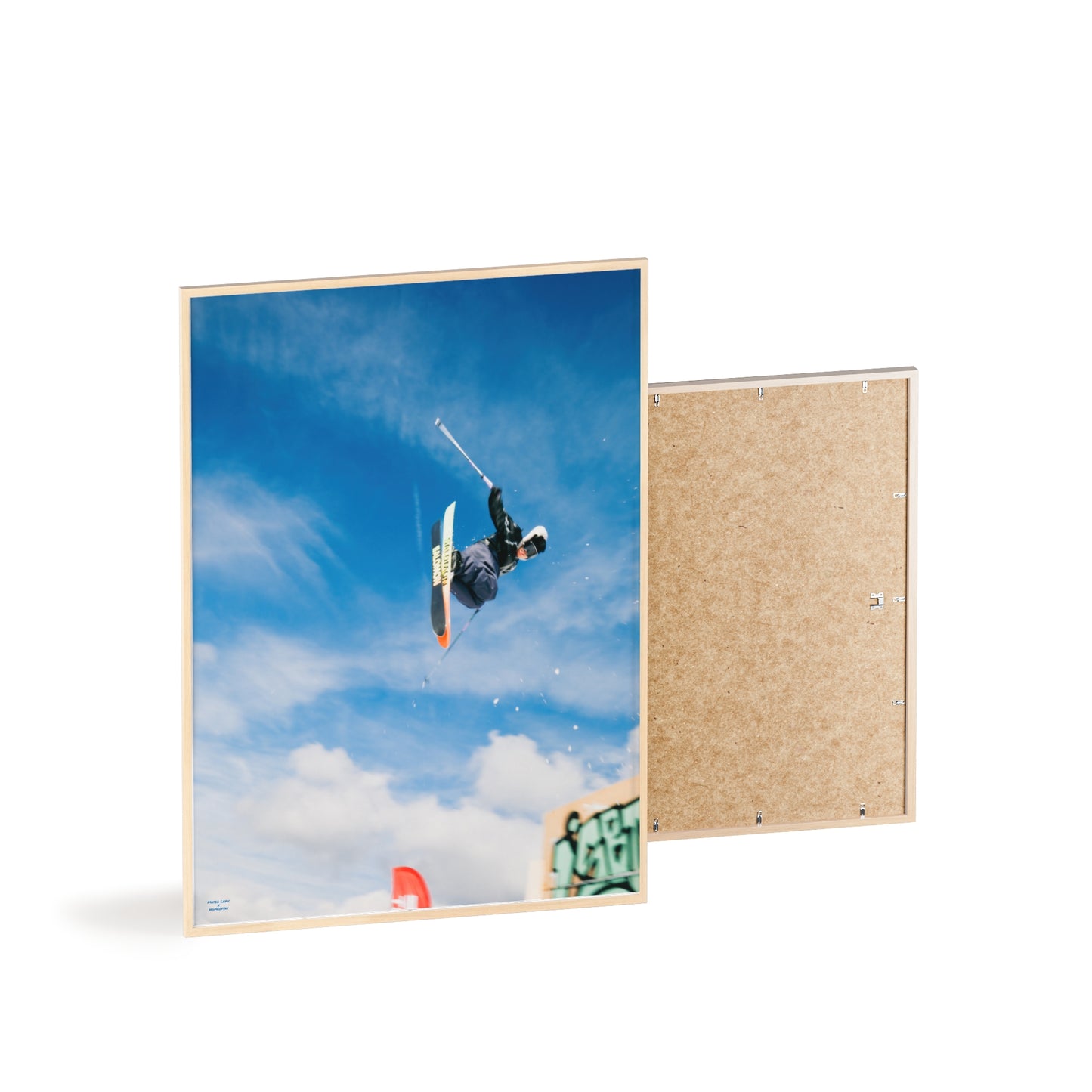 Park Shenanigans Mateo Lepic Poster - FRAMED