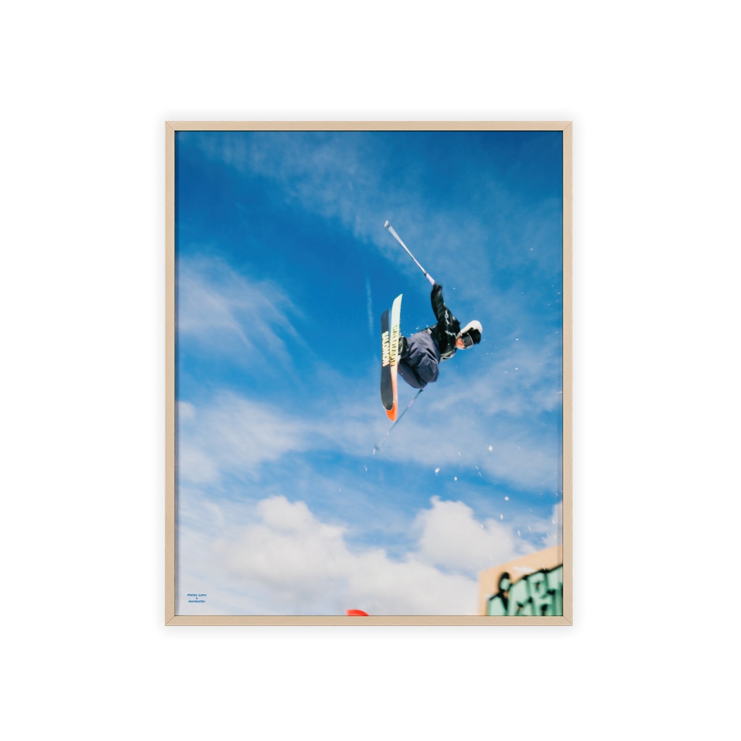 Park Shenanigans Mateo Lepic Poster - FRAMED