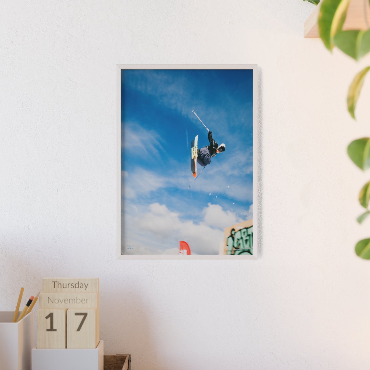 Park Shenanigans Mateo Lepic Poster - FRAMED