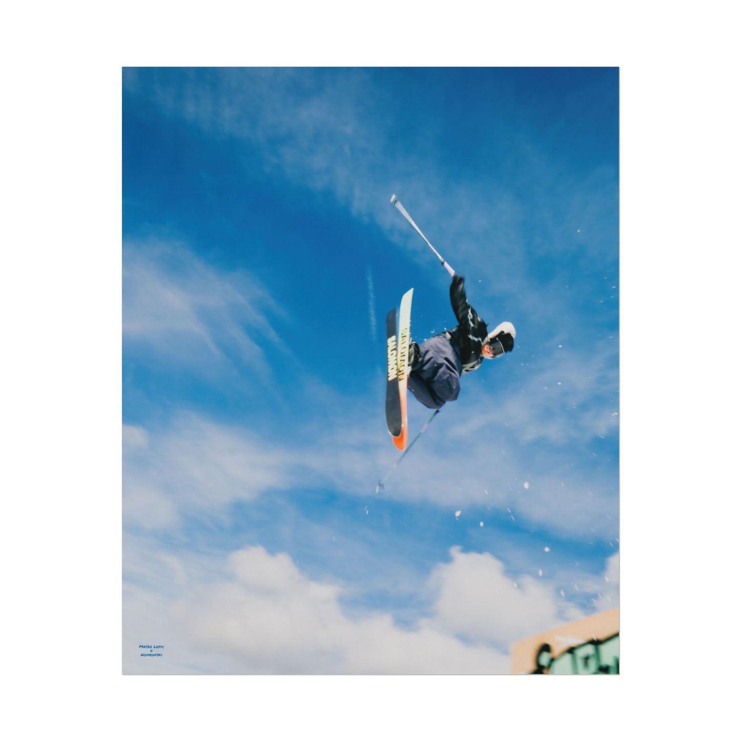 Park Shenanigans Mateo Lepic Poster