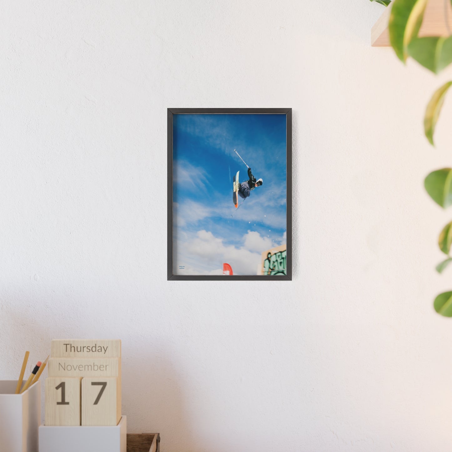 Park Shenanigans Mateo Lepic Poster - FRAMED