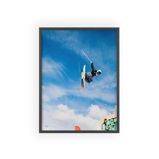 Park Shenanigans Mateo Lepic Poster - FRAMED