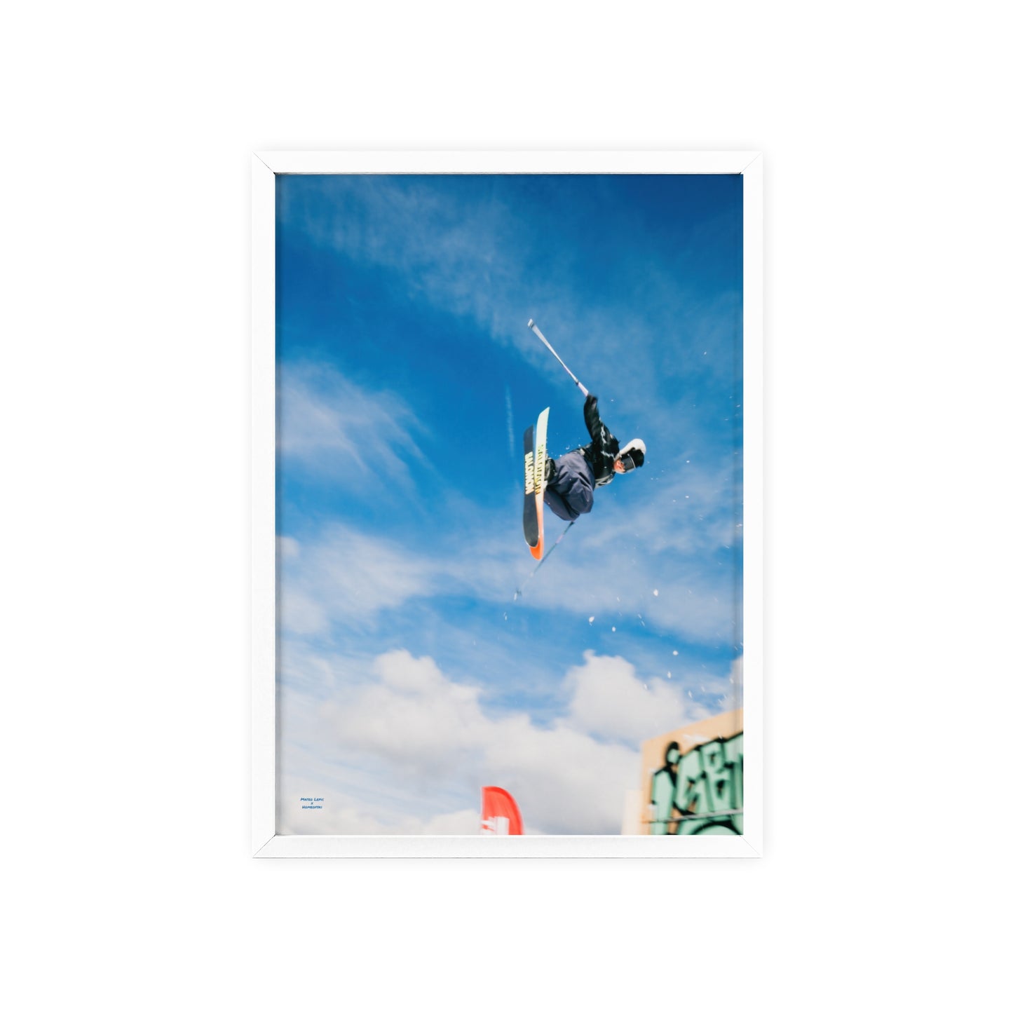 Park Shenanigans Mateo Lepic Poster - FRAMED