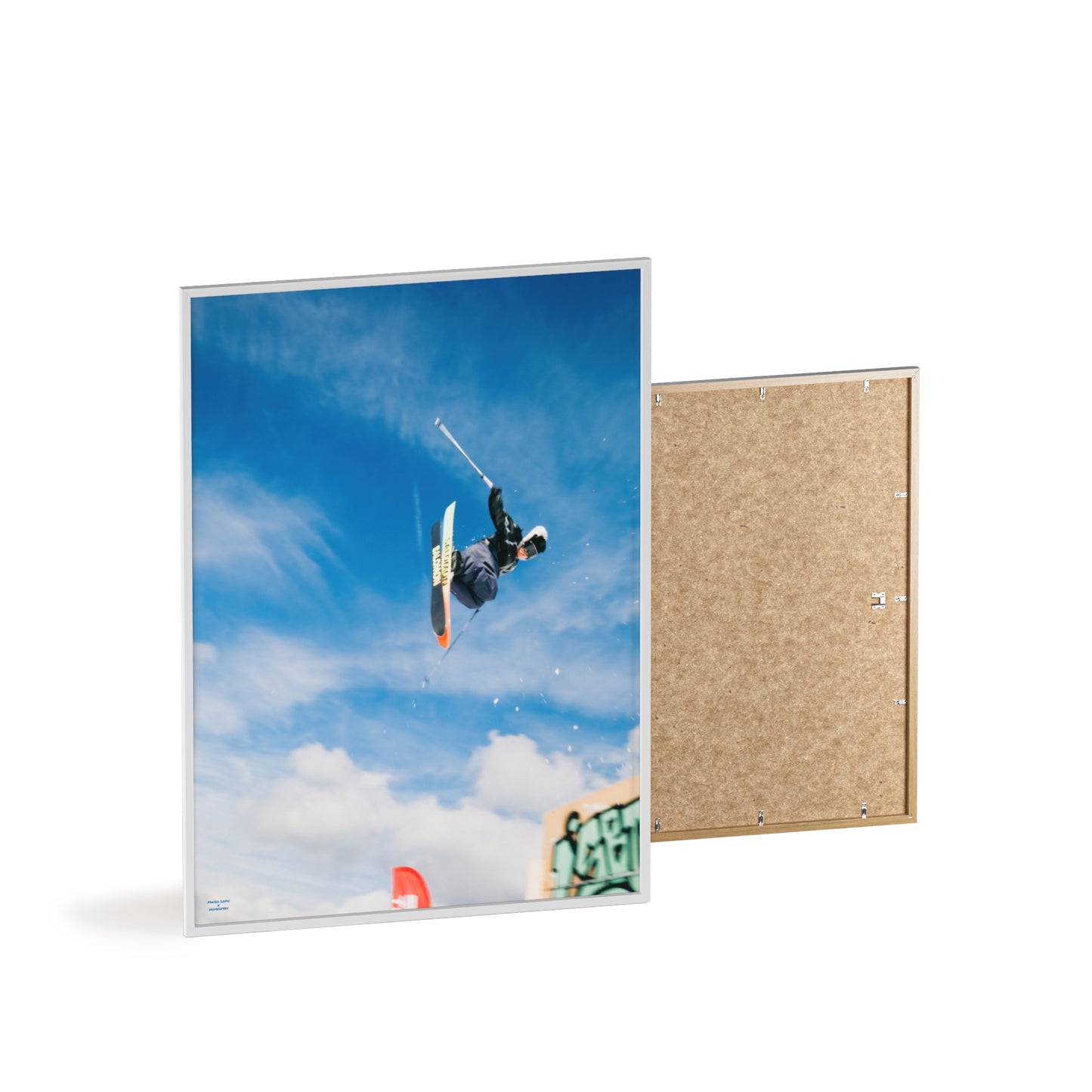 Park Shenanigans Mateo Lepic Poster - FRAMED