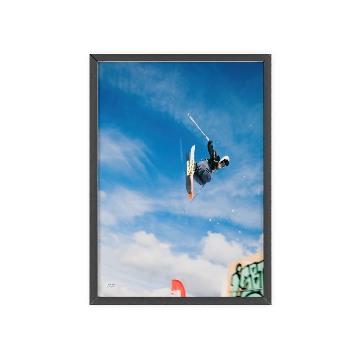 Park Shenanigans Mateo Lepic Poster - FRAMED