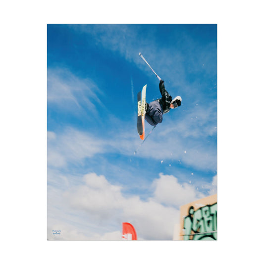 Park Shenanigans Mateo Lepic Poster