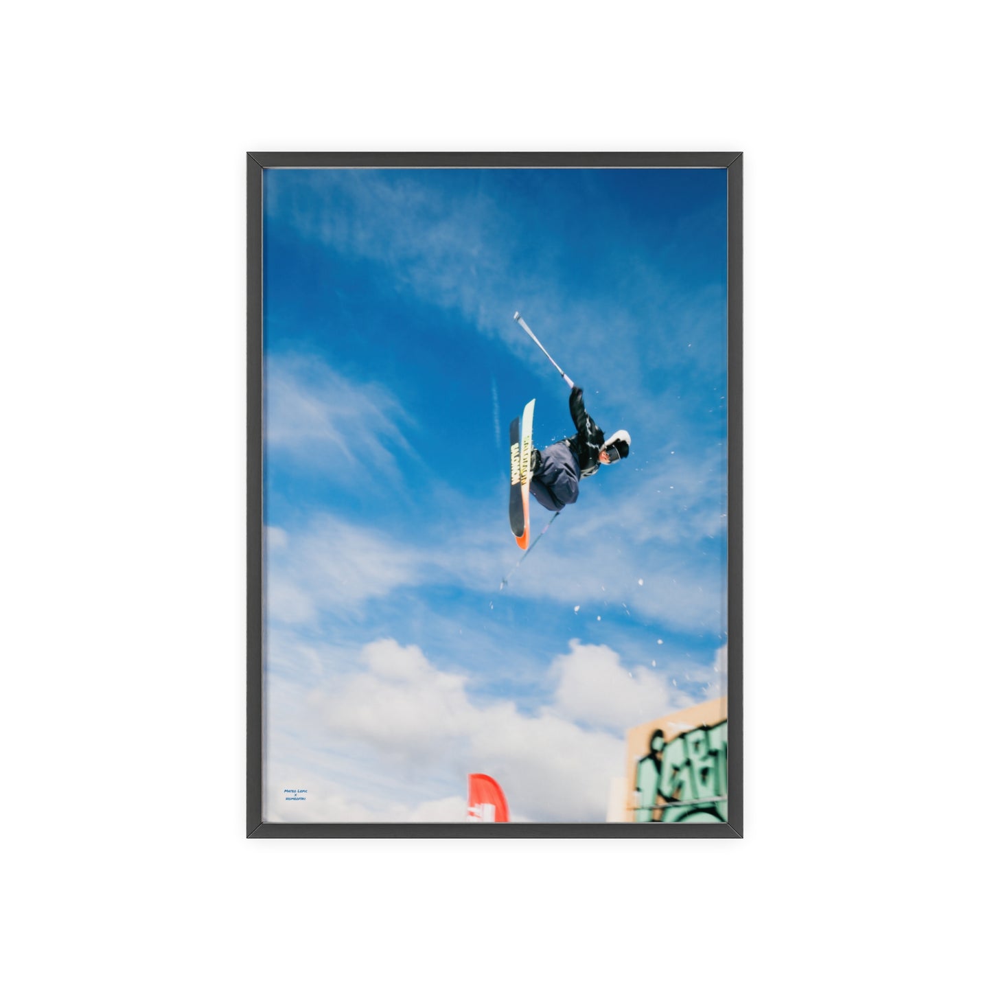 Park Shenanigans Mateo Lepic Poster - FRAMED