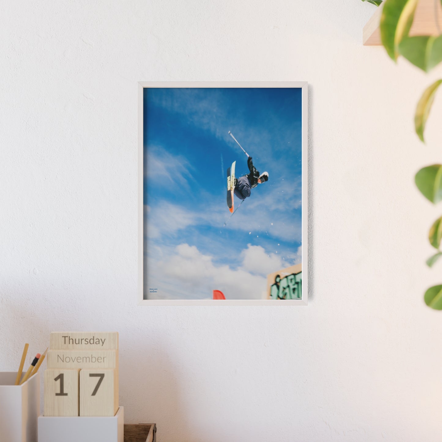 Park Shenanigans Mateo Lepic Poster - FRAMED